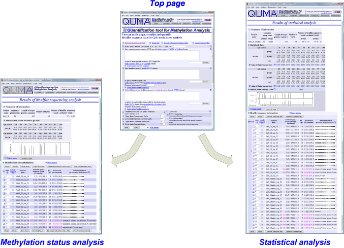 overview figure